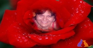 Maludiaslucas 58 years old I am from Sao Paulo/Sao Paulo, Seeking Dating Friendship with Man