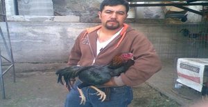 Vaquero88840 41 years old I am from Mexico/State of Mexico (edomex), Seeking Dating with Woman