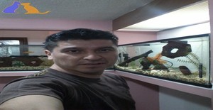 Rojva 48 years old I am from Coacalco De Berriozábal/Estado de México (Edomex), Seeking Dating with Woman